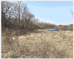  2025Ÿ��502006  �Ӿ߰��