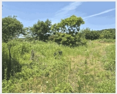  2025Ÿ��502153  �����