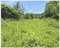  2025Ÿ��502153  �����