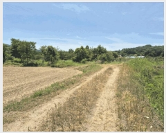  2025Ÿ��502153  �����