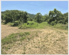  2025Ÿ��502153  �����