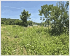  2025Ÿ��502153  �����