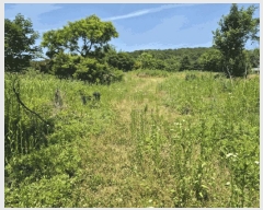  2025Ÿ��502153  �����