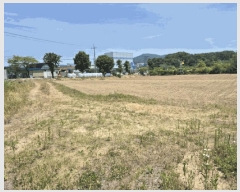  2025Ÿ��502153  �����