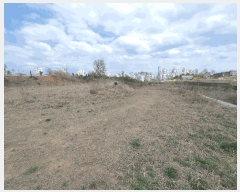  2025Ÿ��502198  ���ΰ��