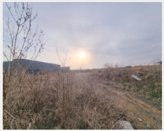  2025Ÿ��502198  ���ΰ��