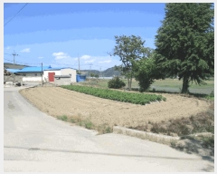  2025Ÿ��502427 ����Ư����ġ�� ������ ������ 154-4       ����(��1)���