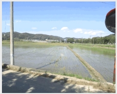  2025Ÿ��502427 ����Ư����ġ�� ������ ������ 154-4       ����(��1)���