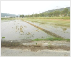  2025Ÿ��502427 ����Ư����ġ�� ������ ������ 154-4       ����(��1)���