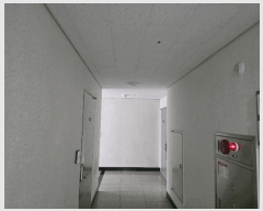  2025Ÿ��502620  ��������Ȱ���ð��