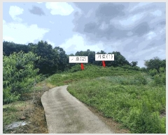  2025Ÿ��502676  ���������