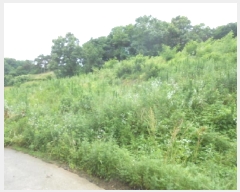  2025Ÿ��502676  ���������