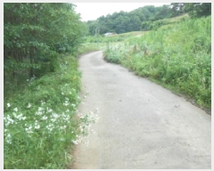  2025Ÿ��502676  ���������