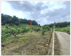  2025Ÿ��502676  ���������