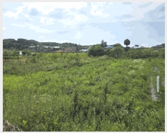  2025Ÿ��502876 ����Ư����ġ�� ������ ���Ǹ� 669-4       ����(����)���