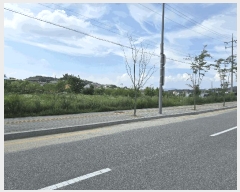  2025Ÿ��502876 ����Ư����ġ�� ������ ���Ǹ� 669-4       ����(����)���