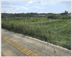  2025Ÿ��502876 ����Ư����ġ�� ������ ���Ǹ� 669-4       ����(����)���