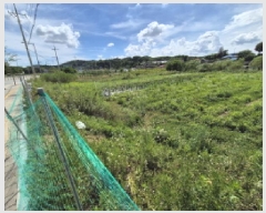  2025Ÿ��502876 ����Ư����ġ�� ������ ���Ǹ� 669-4       ����(����)���