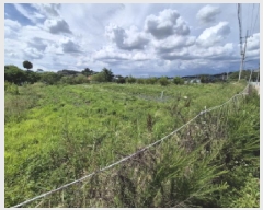  2025Ÿ��502876 ����Ư����ġ�� ������ ���Ǹ� 669-4       ����(����)���