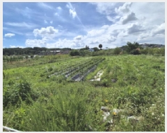  2025Ÿ��502876 ����Ư����ġ�� ������ ���Ǹ� 669-4       ����(����)���