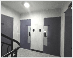  2025Ÿ��502960 ���� ���� ź�浿 1233       �ܵ�����,�����ð��