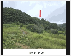  2025Ÿ��503233 �泲 �ݻ걺 �ݼ��� �ϽŸ� ��138-1      ����(�Ӿ�)���