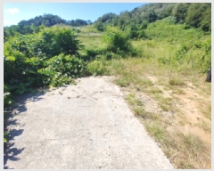  2025Ÿ��503233 �泲 �ݻ걺 �ݼ��� �ϽŸ� ��138-1      ����(�Ӿ�)���