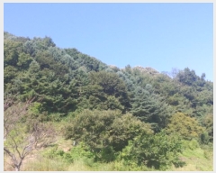  2025Ÿ��503233 �泲 �ݻ걺 �ݼ��� �ϽŸ� ��138-1      ����(�Ӿ�)���