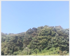  2025Ÿ��503233 �泲 �ݻ걺 �ݼ��� �ϽŸ� ��138-1      ����(�Ӿ�)���