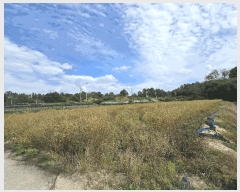  2025Ÿ��503422 �泲 �ݻ걺 �θ��� ��õ�� 14-8      ����(��)���