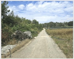  2025Ÿ��503422 �泲 �ݻ걺 �θ��� ��õ�� 14-8      ����(��)���