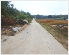  2025Ÿ��503422 �泲 �ݻ걺 �θ��� ��õ�� 14-8      ����(��)���