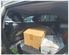  2025Ÿ��3742  �������