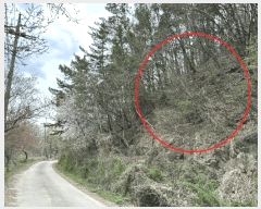  2025Ÿ��502121 ���� ���� ���� ��22-1       ����(�Ӿ�)���