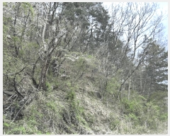  2025Ÿ��502121 ���� ���� ���� ��22-1       ����(�Ӿ�)���