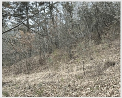  2025Ÿ��502121 ���� ���� ���� ��22-1       ����(�Ӿ�)���