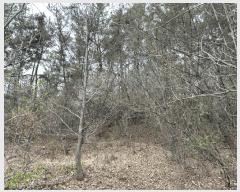  2025Ÿ��502121 ���� ���� ���� ��22-1       ����(�Ӿ�)���