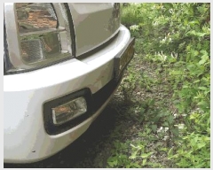  2025Ÿ��502496 ���� �߱� ���̵� 262-2, ���뺸����      �������