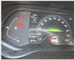  2025Ÿ��502850 ���� �߱� ������ 731       �������