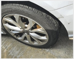  2025Ÿ502857  ߱  731  (042-253-2467)     