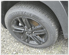  2025Ÿ��503018 ���� �߱� ������ 731 ���������� (042-253-2467)     �������