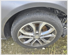  2025Ÿ��503046 ���� �߱� ������ 731 ���������� (042-253-2467)     �������