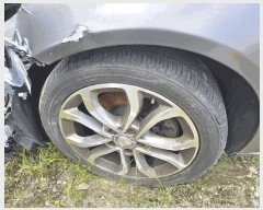  2025Ÿ��503046 ���� �߱� ������ 731 ���������� (042-253-2467)     �������