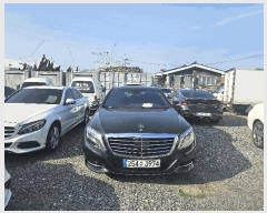  2025Ÿ��503208  �������