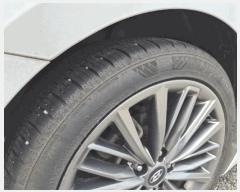  2025Ÿ��503273  �������