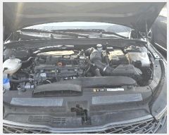  2025Ÿ��503365 ���� �߱� ������ 731, ���������� (042-253-2467)     �������