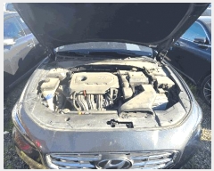  2025Ÿ��503406 ���� �߱� ������ 731, ���������� (042-253-2467)     �������