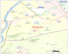  2025Ÿ��503743 ���� �߱� ���ʷ� 22���� 56-8, (��)����     �������