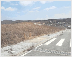  2025Ÿ��1337 ����Ư����ġ�� �屺�� �뱳�� 370-46       ����(����)���