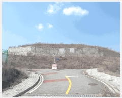  2025Ÿ��1337 ����Ư����ġ�� �屺�� �뱳�� 370-46       ����(����)���